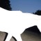wit3horse