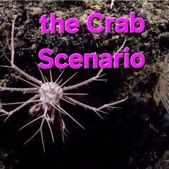 The Crab Scenario