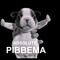 pibbel