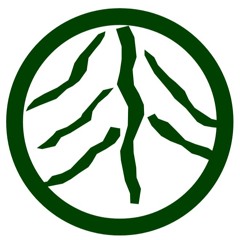 OlleMed