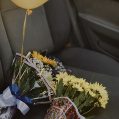 تيجان معتز گيلان