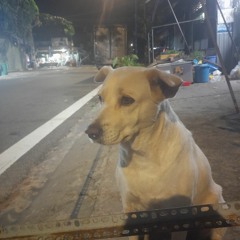 Công Trưởng