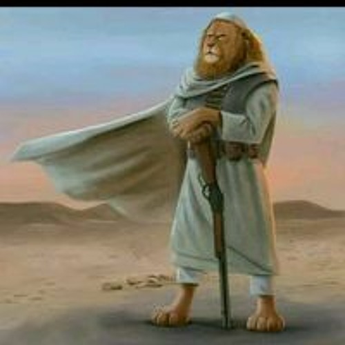 إسلام الحلوانى’s avatar