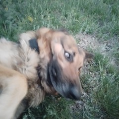 GarZ / dj sailor moon archive