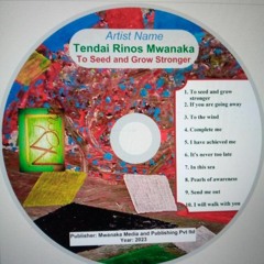 Tendai Rinos Mwanaka