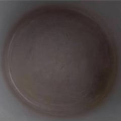 RoastedGhost