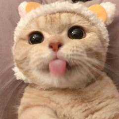 채아