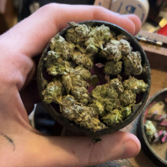 ismokeurgrannysashes