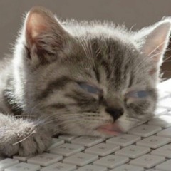 Nini