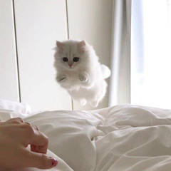 민재