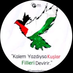 Firdevs Tohumcu