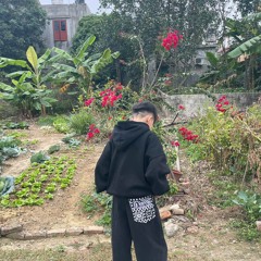 KAh Flugi