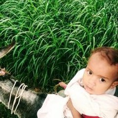 Taher Ali Hasan