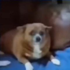 BAMBOOZALA