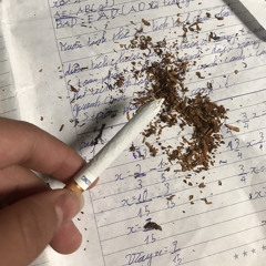 Bùi Điều