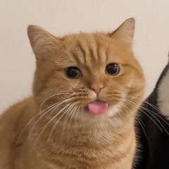 knphuong