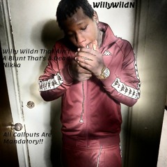 WillyWildN