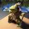 dubiouswizardfrog