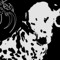 BLUDDYHOUNDZZ