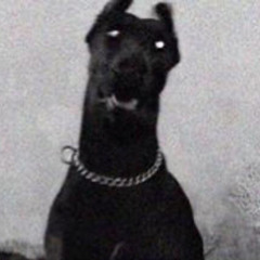 paul✞