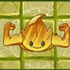 the golden flex