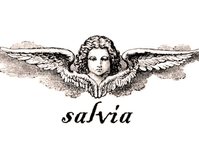 Salvia