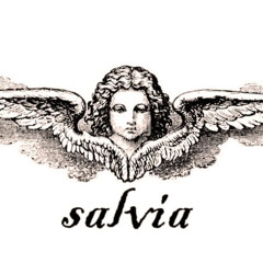 Salvia