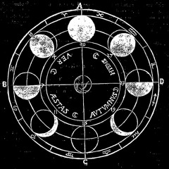 moonshyne / mondschein