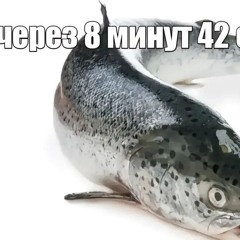 molly🥱🙅‍♀️🥱