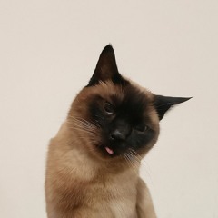 LucMa