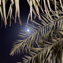 فَ