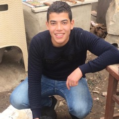 Karim Salama