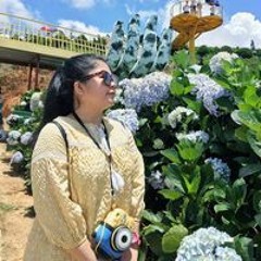 Thy Nguyễn