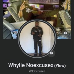 Whylie noexcusez