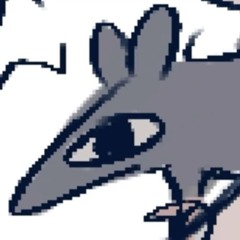 koiri
