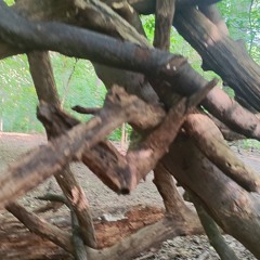 Alexander Kargaltsev