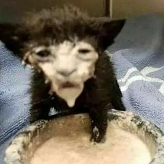 2805