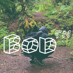 Bob TM