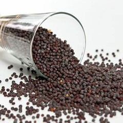 Perfect Day (The Constellations cover)