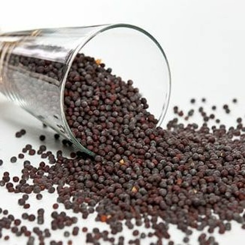 Perfect Day (The Constellations cover)