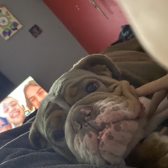 hailey