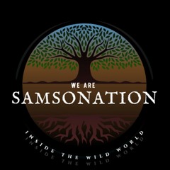 Samsonation