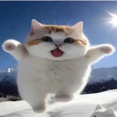 Maxlmo