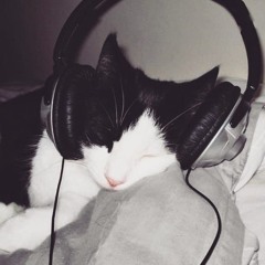 Tricky_cat☁️