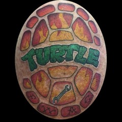 FireTurtle75