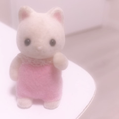 nachi