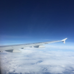 dawny high