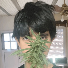 TOMMY WEED