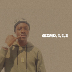GIZMO.1.1.2
