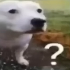 Megapug
